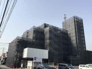 IMG_0244.jpeg