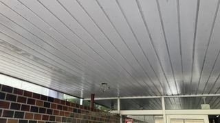 IMG_0552.jpg