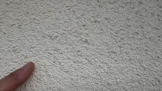 IMG_1107.jpg