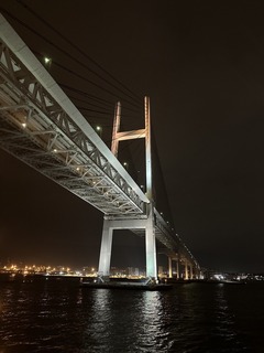 IMG_2584.jpg