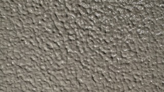 IMG_2857.jpg