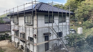 IMG_3667.jpg