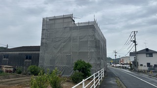 IMG_6219.jpeg