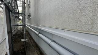 IMG_6372.jpeg