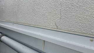 IMG_6379.jpeg