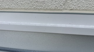 IMG_6380.jpeg